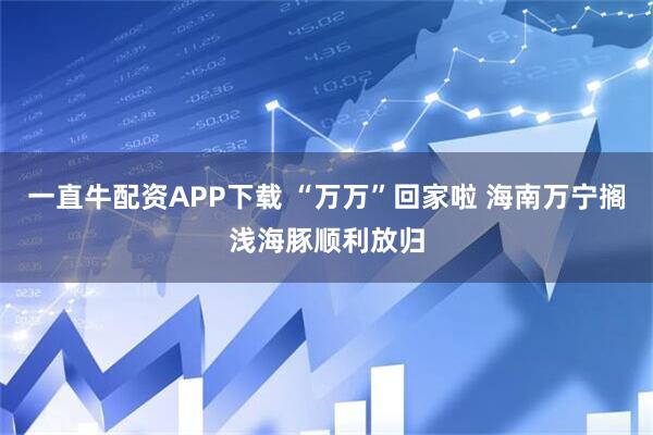 一直牛配资APP下载 “万万”回家啦 海南万宁搁浅海豚顺利放归