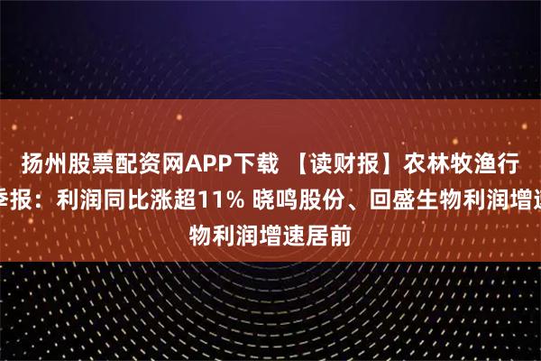 扬州股票配资网APP下载 【读财报】农林牧渔行业三季报:利润同比涨超11% 晓鸣股份、回盛生物利润增速居前