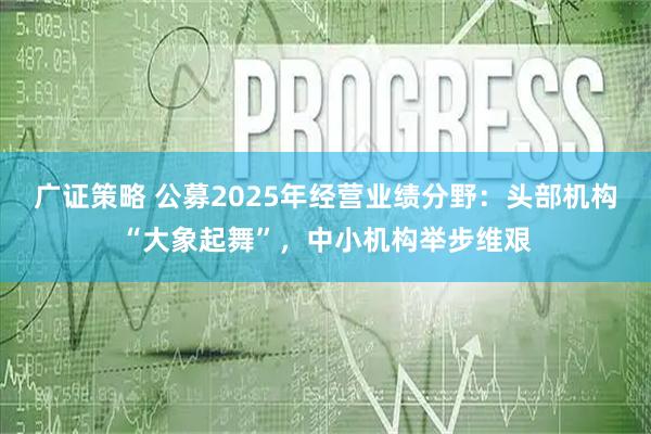 广证策略 公募2025年经营业绩分野：头部机构“大象起舞”，中小机构举步维艰